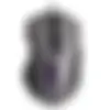 142095