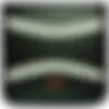 79807