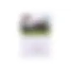 90868