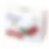 111513_1