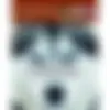 130627