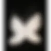 102009