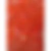 69203_1