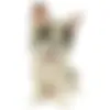 137442