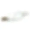129071