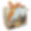 137758_1