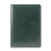 Дневник датированный Brisk Office 2024 год А5, Sarif 176 листов, линия, зеленый ЗВ-71
