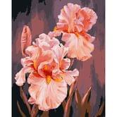 Роспись по номерам Art Craft 40 х 50 см "Розовые ирисы", холст, акриловые краски, кисточки 13140-АС