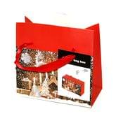 Пакет новорічний ANGEL GIFTS 18 х 12 х 9 см, 4 дизайна 8950L