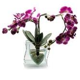 Штучна квітка Орхідея в склі 35 х 21 х 8,5 см 18788