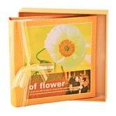 Фотоальбом Chako 10 х 15 х 200 Whispers of Flower in Box Yellow в подарунковій коробці C-46200RCL