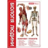 Комплект плакатов "Биология человека" (13 плакатов) 9 класс, RANOK 0502