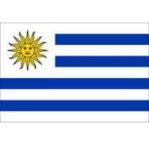 Флаг Уругвай 14,5 х 23 см настольный, полиэстер П-3