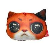 Іграшка антистрес м’яконабивна Кіт очкастий рудий SOFT TOYS DT-ST-01-01
