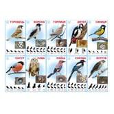 Комплект з 10 карток 135 х 235 мм "Зимуючі птахи" Світ поздоровлень Км-091