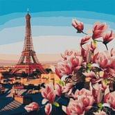 Роспись по номерам идейка 50 х 50 см "Парижские магнолии", холст, акриловые краски, кисточки КНО3601