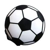 Сумка для CD/DVD EVO "Футбольный мяч" 24 EV-HDF01