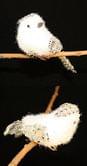 Новогоднее украшение "Птичка" на прищепке,12 см, цвет-белый, в п/п на европодвесе A50109