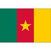 Прапор Камерун 14,5 х 23 см настільний, поліестер П-3