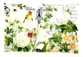 Блюдо Viva Garden White прямокутне 30 х 20 см в упаковці S3230-L078