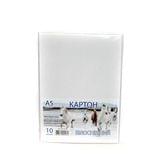 Картон белый А5 10 листов в п/п пакете КА5010E