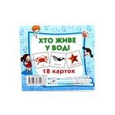 Демонстрационные карточки Jumbi мини 18 карточек, украинский J011y(12,14,15,18,801,802