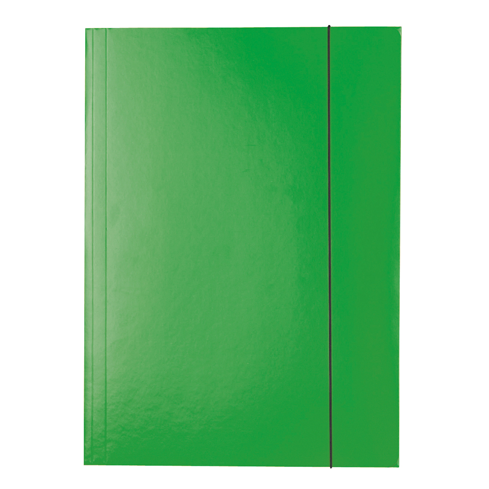 Папка Esselte А4, на гумці, картонна, колір зелений 13437