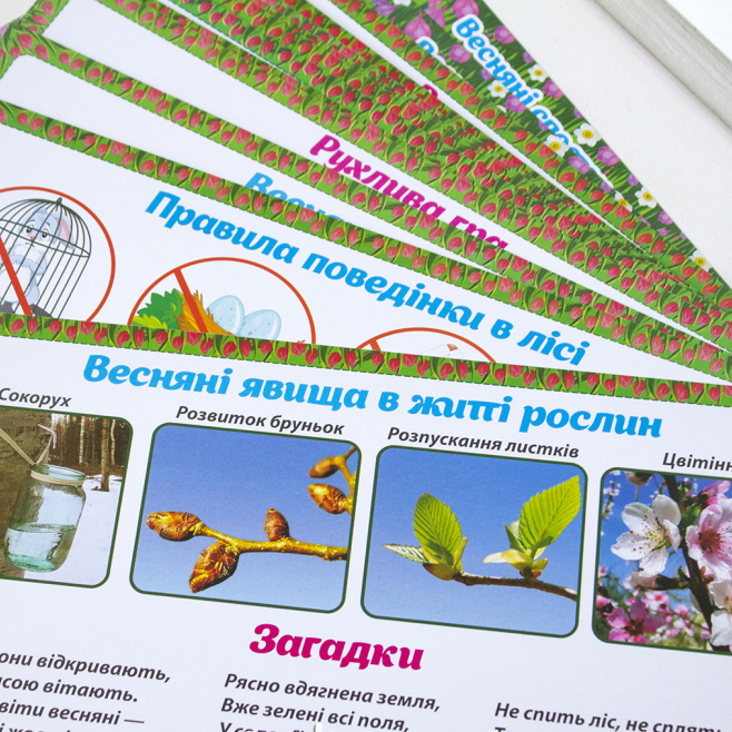 Дидактичний матеріал Ranok "Весняні спостереження", 16 карток, для дошкільнят та учнів 1 класу 13107148У